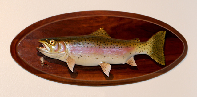 Rainbow Trout Plaque